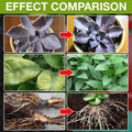 Plant Growth Enhancer Supplement - Hit Pick