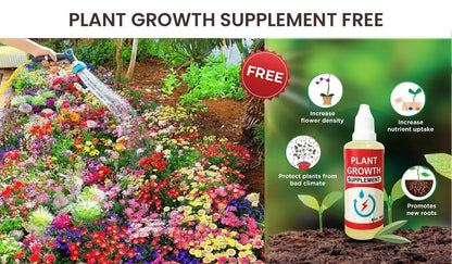 Mix Flower Seeds (Pack of 100 Seeds)