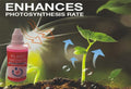Plant Growth Enhancer Supplement - Hit Pick