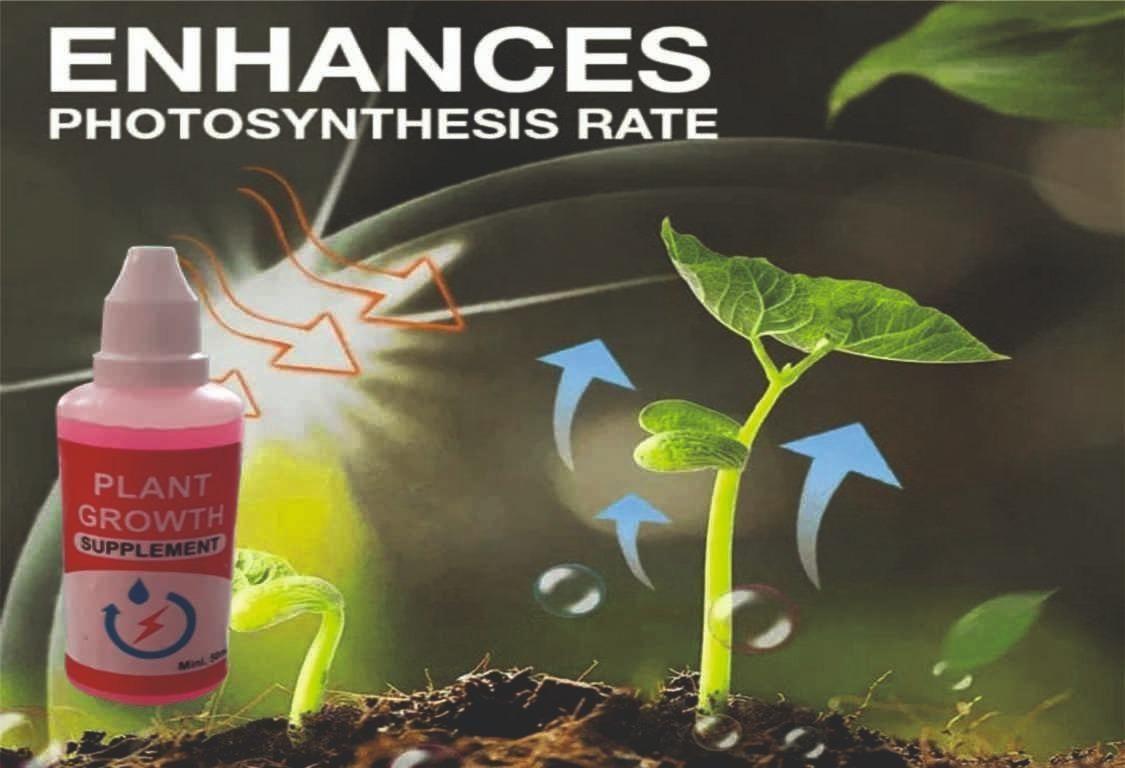 Plant Growth Enhancer Supplement - Hit Pick