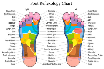 Acupressure Massage Slippers – Reflexology Footwear for Pain Relief